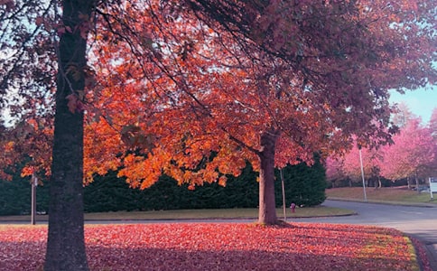 ����˽�Z(y��)����[ͨ��]