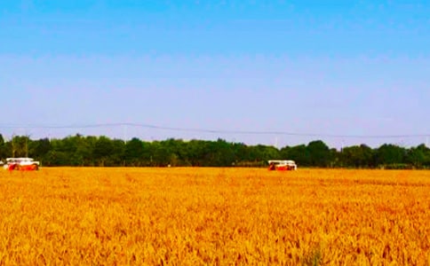 ����ϲ�����ӣ����x180�䣩