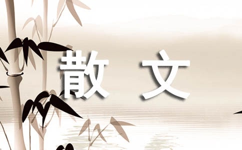 �㟟�c��ɢ��