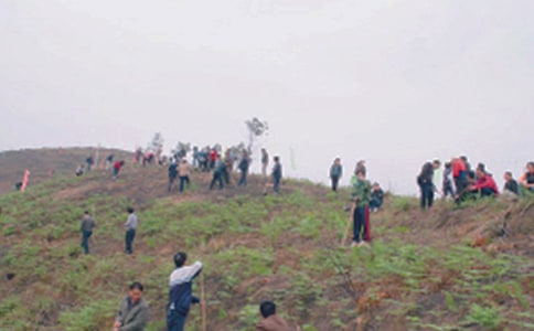 ��ʿ��@��Ĺ�ĵ��w��(hu��)��(y��u)�㣨ͨ��16ƪ��