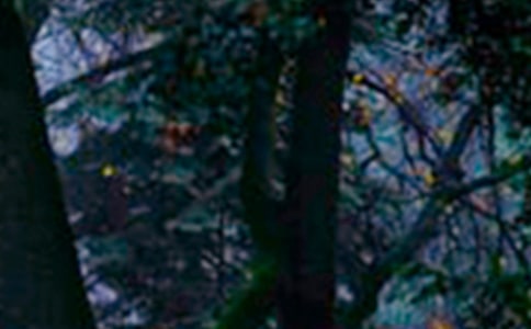 �Gɫɭ���҂��ļ�����