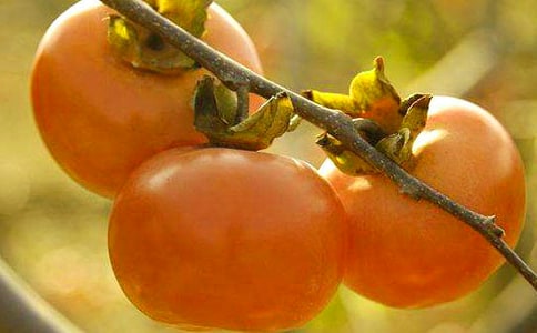 ��������400�ְ�ƪ