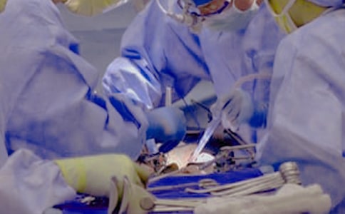 ���˄�(d��ng)���g(sh��)�ɹ�ף���Z