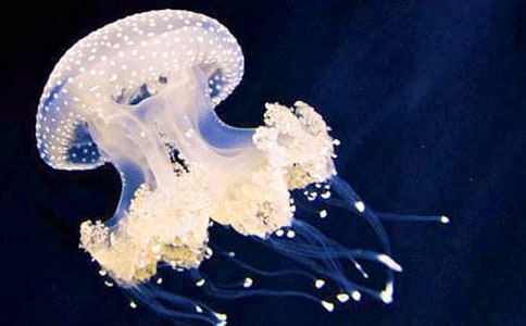 ˮĸ����600�֣����x26ƪ��