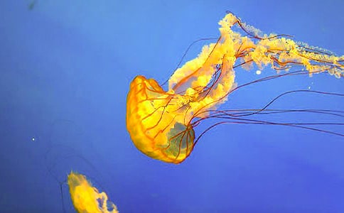 �^��ˮĸ������(ͨ��4ƪ)