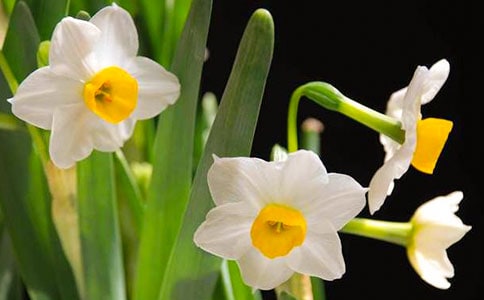 ˮ�����^�۹���.�И�עጼ��g��