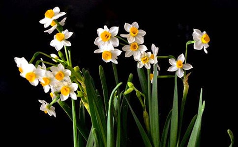 ˮ���ӡ���ǰ�����ý��B֦ �̼���Ԋ(sh��)ԭ���p�������g