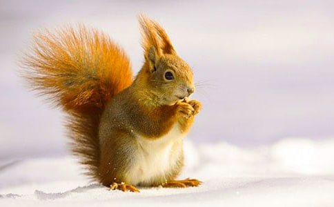 ����̌W(xu��)��˼�����x12ƪ��