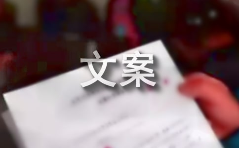 關(guān)于雙十一熱點(diǎn)文案(精選65句)
