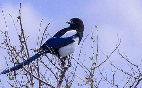 �]���T���pϲ�oԭ�ļ��p��