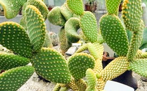 �����]������������