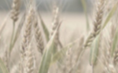 С��ُ(g��u)�N��ͬ14ƪ