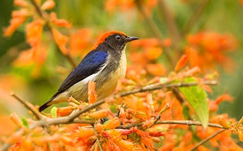 (���T)���wС�B����