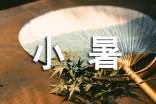 小暑優(yōu)秀唯美文案句子250句