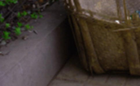 һֻ�ƻj�����v��