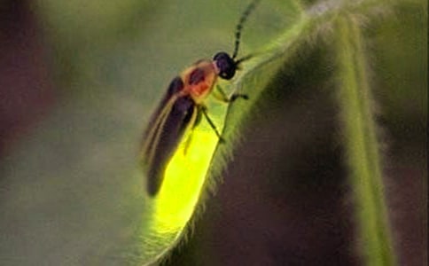 ��Ξ���x���̌W��˼�����x11ƪ��