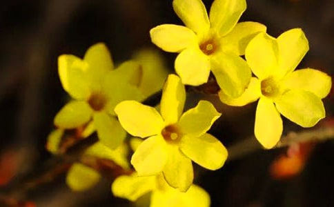 [ͨ��]������ӭ��������15ƪ