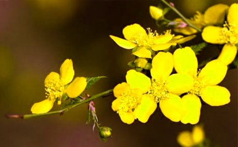 �����P(gu��n)��ӭ����