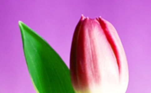 ������ ����800��