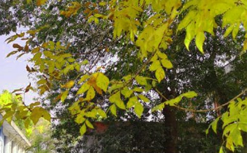 ���]Ψ���簲�İ�160��