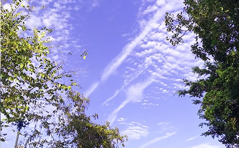 ����Ψ���簲�İ��R����ͨ��170�䣩