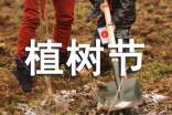植樹節(jié)祝福朋友圈語句200句