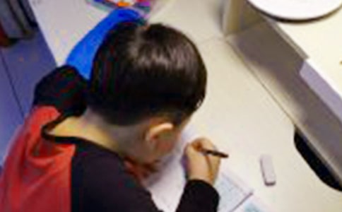 我煩人的侄子作文450字