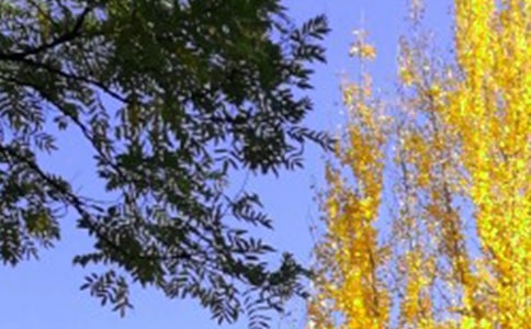 《早晨從中午開(kāi)始》讀后感(精選12篇)