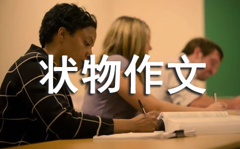 ��ݻ��Ġ�������