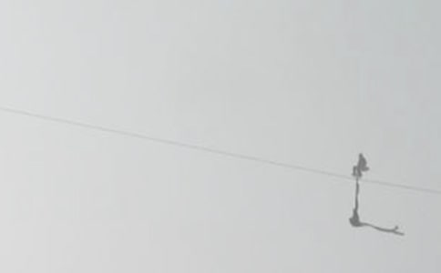 ���ƌW(xu��)ð�UС����䓽z�̰�