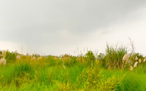 �P(gu��n)�ں��C���������M(j��n)���C�Ĵ���