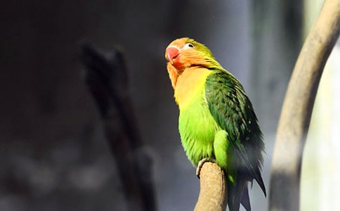 �W�^���ԭ�������g���p��3ƪ