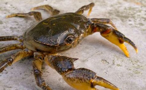 ���ª�(d��)��С�з���x��У�ͨ��21ƪ��