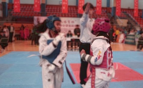 跆拳道活動策劃書