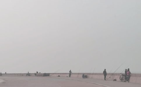 關于釣魚的日記(通用87篇)