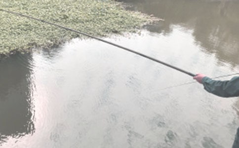 精選釣魚啟示作文四篇