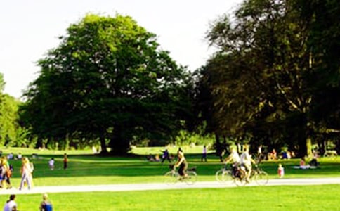 精選游香山公園作文三篇