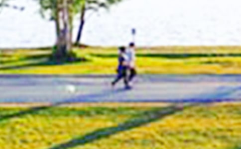 唐山南湖公園作文(合集5篇)