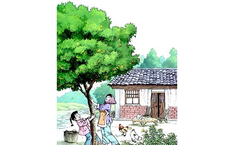 �����꡷�n��