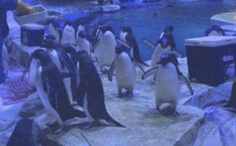 ���]�����󹫈@֮������