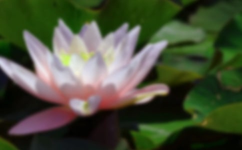 ����(sh��)�á��ɻ�����300����ƪ