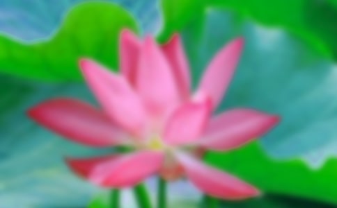 �茑(xi��)�ɻ���(xi��)���������\��7ƪ