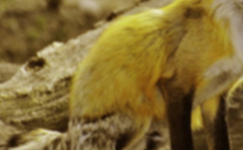 ��؂�͞��f�m(x��)������(ͨ��15ƪ)