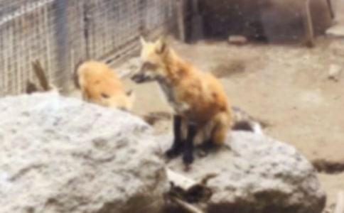 ����Ʒ����؂�͞��f���꼉����3ƪ