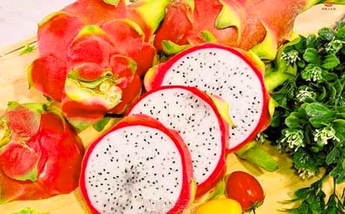 探秘火龍果基地作文