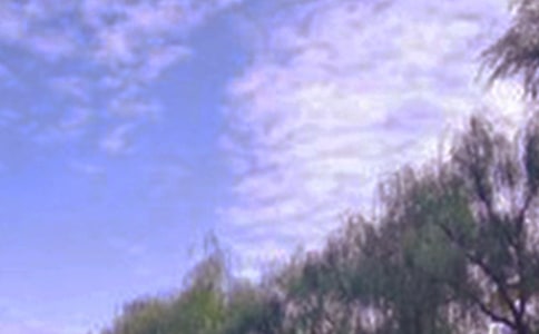 �����x����Ұ�ľ�ɫ����3ƪ