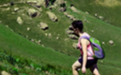 ��ɽ����600�֣�ͨ��42ƪ��