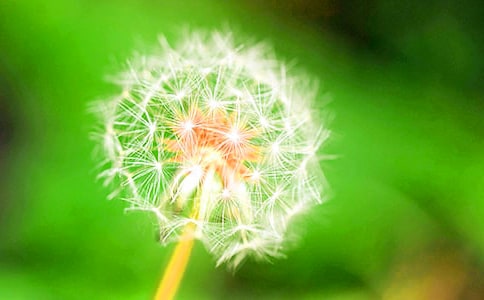 �ѹ�Ӣ������300��3ƪ[���A]