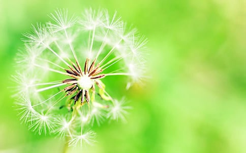 �ѹ�Ӣ���ó����ģ�ͨ��50ƪ��