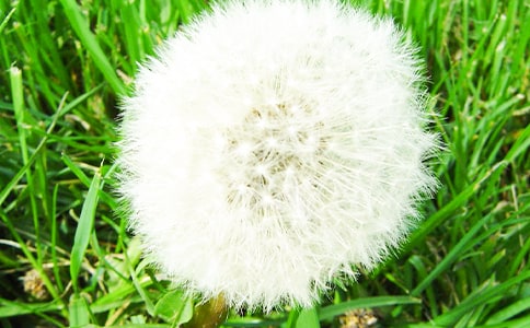 �ѹ�ӢС�W����300��8ƪ